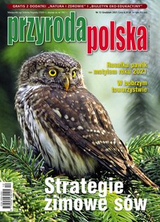 e-prasa: Przyroda Polska – 12/2021
