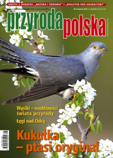 e-prasa: Przyroda Polska – 6/2022