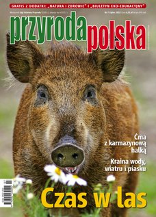 e-prasa: Przyroda Polska – 7/2022