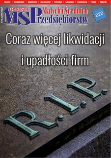 e-prasa: Gazeta Małych i Średnich Przedsiębiorstw – 11/2022