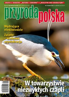 e-prasa: Przyroda Polska – 8/2024