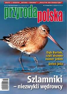 e-prasa: Przyroda Polska – 11/2024