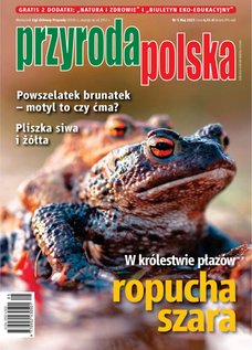 e-prasa: Przyroda Polska – 5/2025