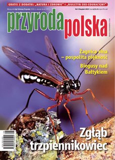 e-prasa: Przyroda Polska – 8/2025