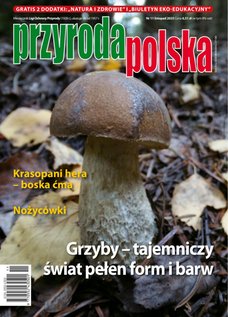 e-prasa: Przyroda Polska – 11/2025