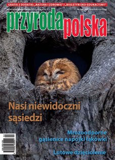 e-prasa: Przyroda Polska – 2/2026