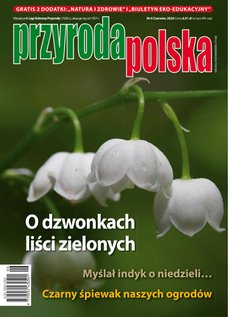 e-prasa: Przyroda Polska – 6/2026