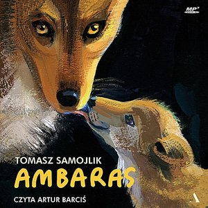 Ambaras – audiobook