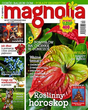 Magnolia 12/2015 – ebook