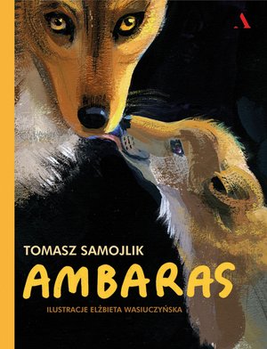 Ambaras – ebook