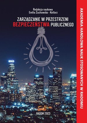 Zarządzanie w przestrzeni bezpieczeństwa publicznego – ebook