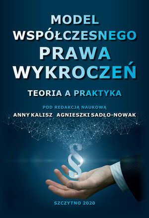Model współczesnego prawa wykroczeń. Teoria a praktyka – ebook