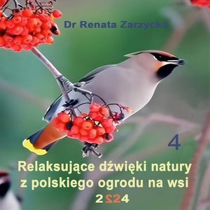 Relaksujące dźwięki natury z polskiego ogrodu na wsi – audiobook