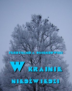 W krainie niedźwiedzi – ebook