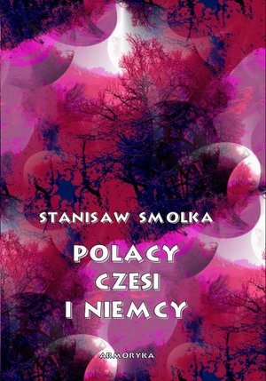 Polacy, Czesi i Niemcy – ebook