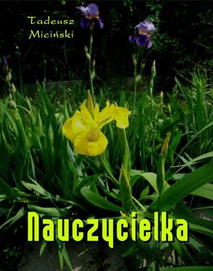 Nauczycielka – ebook