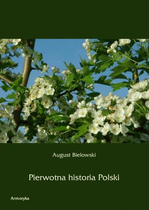 Pierwotna historia Polski – ebook