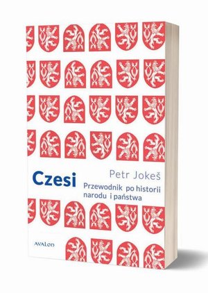 Czesi Przewodnik po historii narodu i państwa – ebook