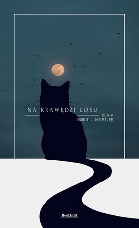 Na krawędzi losu – ebook