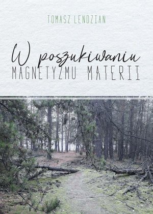 W poszukiwaniu magnetyzmu materii – ebook