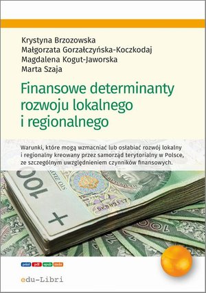 Finansowe determinanty rozwoju lokalnego i regionalnego – ebook