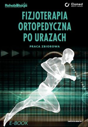 Fizjoterapia ortopedyczna po urazach. Praca zbiorowa – ebook
