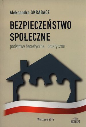 Bezpieczeństwo społeczne: Podstawy teoretyczne i praktyczne – ebook