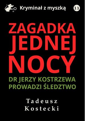 Zagadka jednej nocy – ebook
