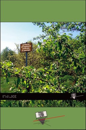 Podróże w pamięć – ebook