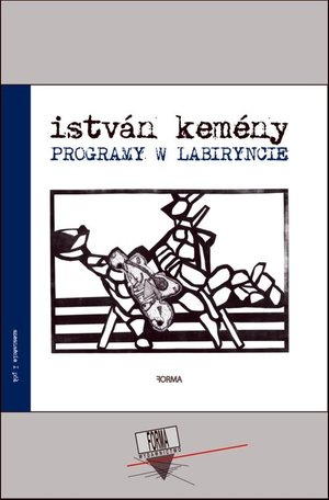 Programy w labiryncie – ebook