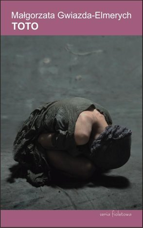 Toto – ebook