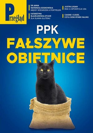 Przegląd. 13 – ebook