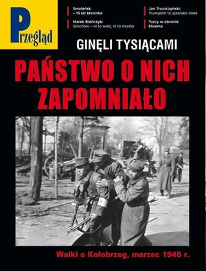 Przegląd. 15 – ebook