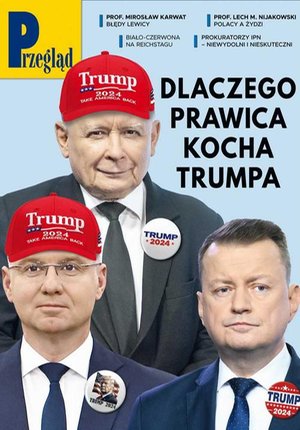 Przegląd. 19 – ebook