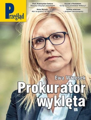 Przegląd. 14 – ebook