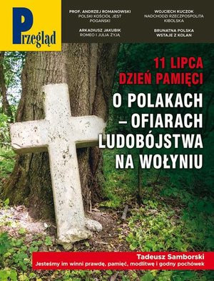 Przegląd. 28 – ebook