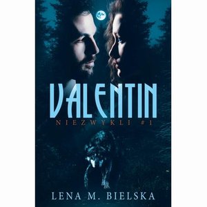 Valentin. Niezwykli Tom 1 – ebook