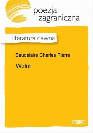 Wzlot – ebook