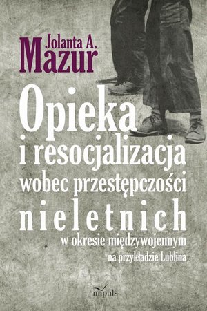 Opieka i resocjalizacja wobec przestępczości nieletnich: W okresie międzywojennym na przykładzie Lublina – ebook