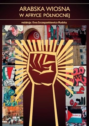 Arabska wiosna w Afryce północnej: Przyczyny, przebieg, skutki – ebook