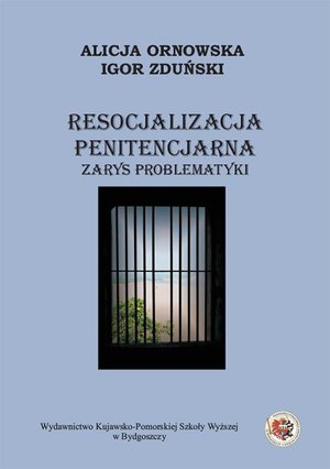 Resocjalizacja penitencjarna. Zarys problematyki – ebook
