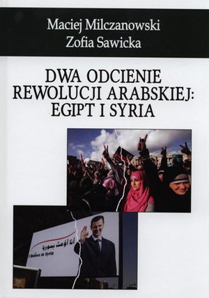 Dwa odcienie rewolucji arabskiej: Egipt i Syria – ebook