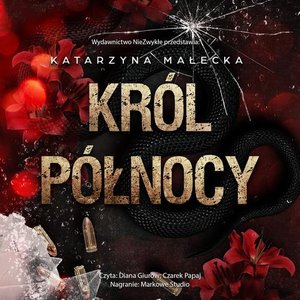 Król północy – audiobook