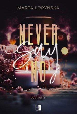 Destiny 1 Never Say No – ebook