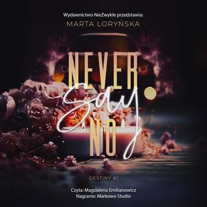 Never Say No – audiobook
