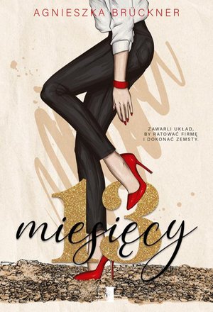 13 miesięcy – ebook