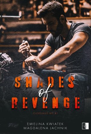 Shades of Revenge – ebook