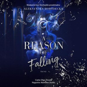 A Reason of Falling – audiobook