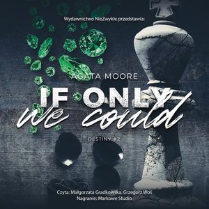 If Only We Could – audiobook