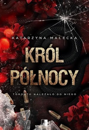 Król północy – ebook